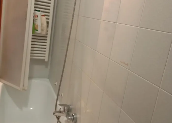 晨光之家 ホームステイ